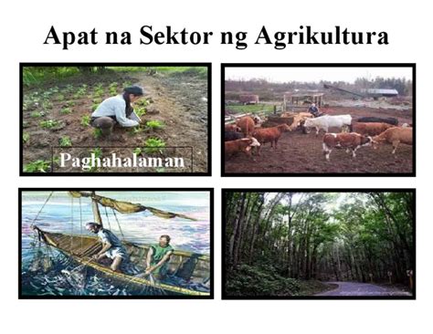 sektor ng agrikultura slogan|AGRIKULTURA: Apat na Sektor ng Agrikultura .